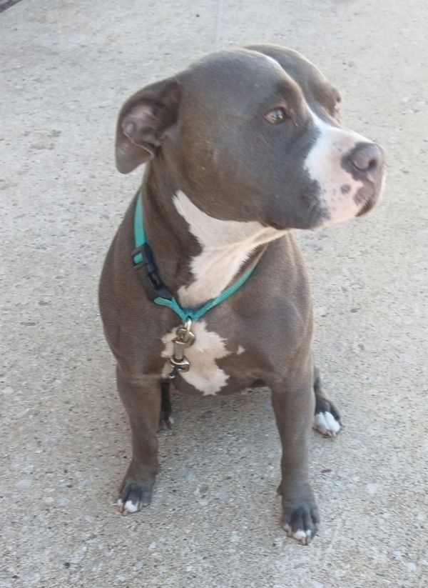 Cocoa - COURTESY POST