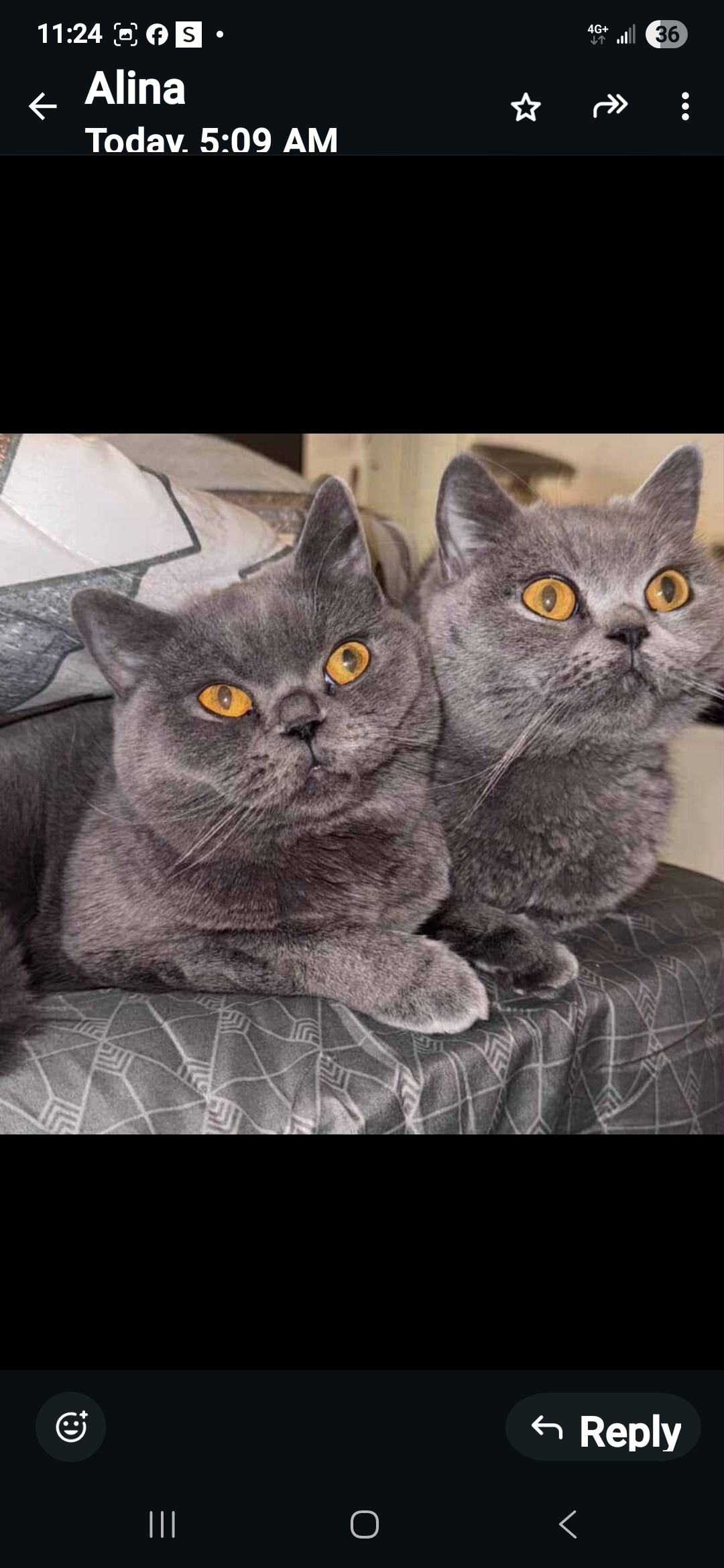 Nia and Luna