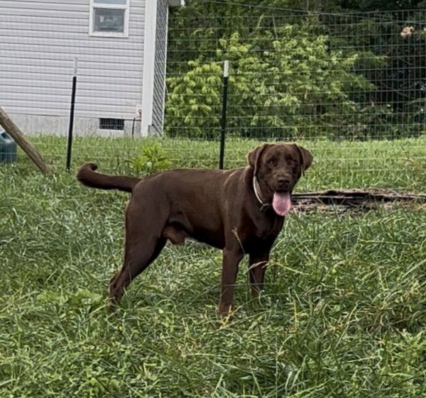 Max