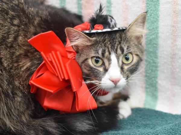 Kiki