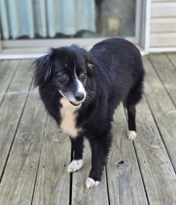 Remi
