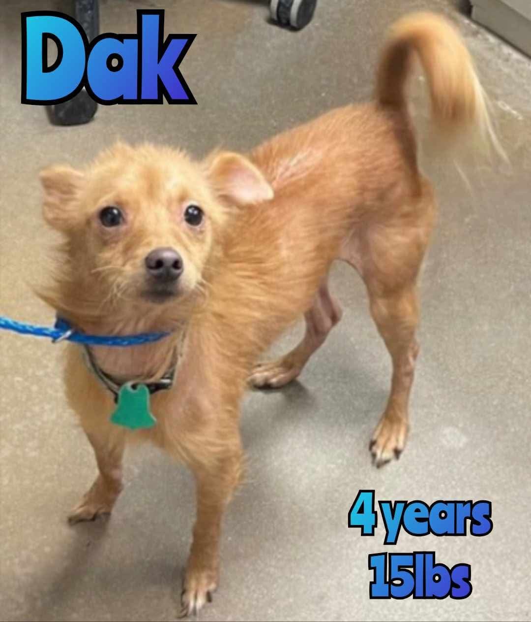 DAK
