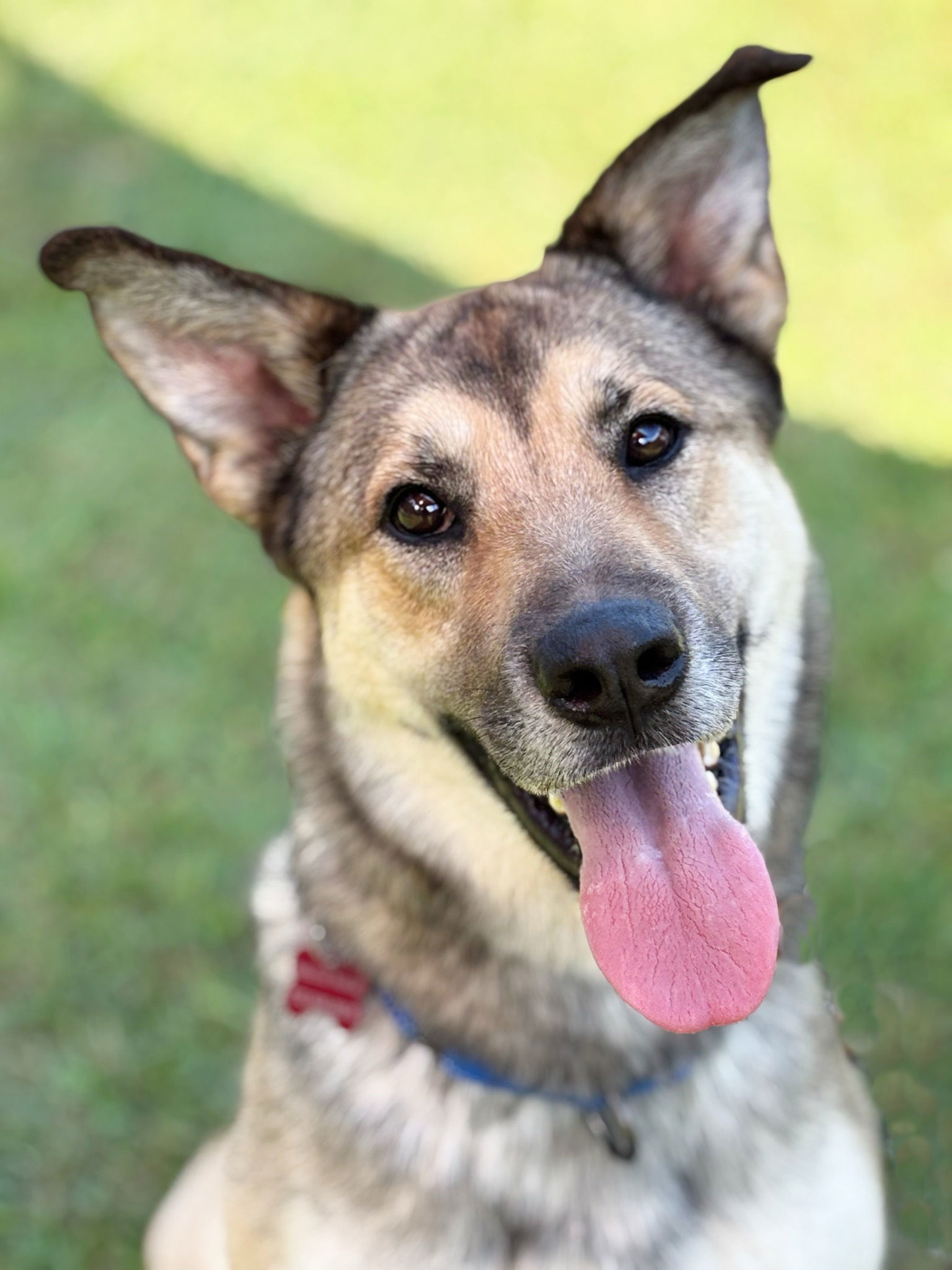Maggie Mae
