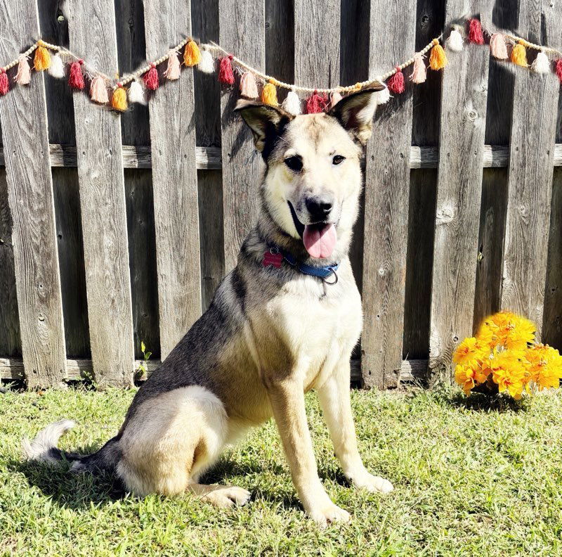 Maggie Mae