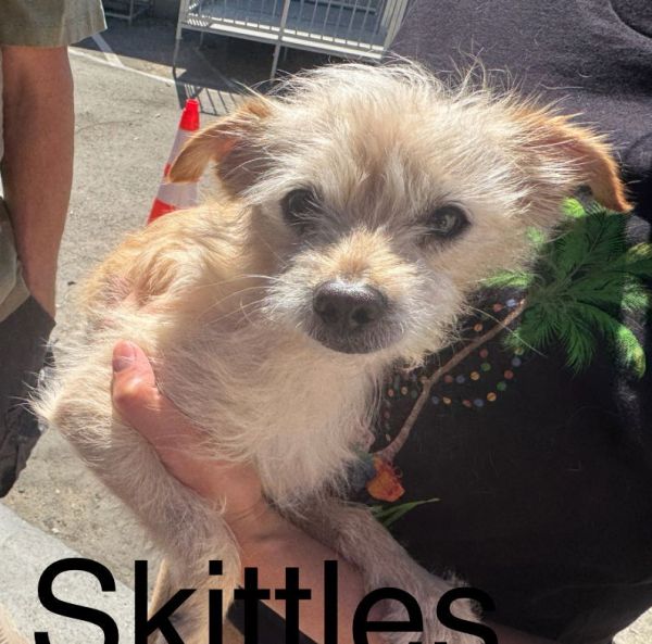 Skittles