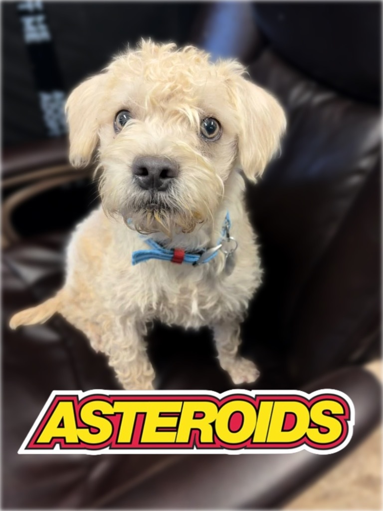 Astroids