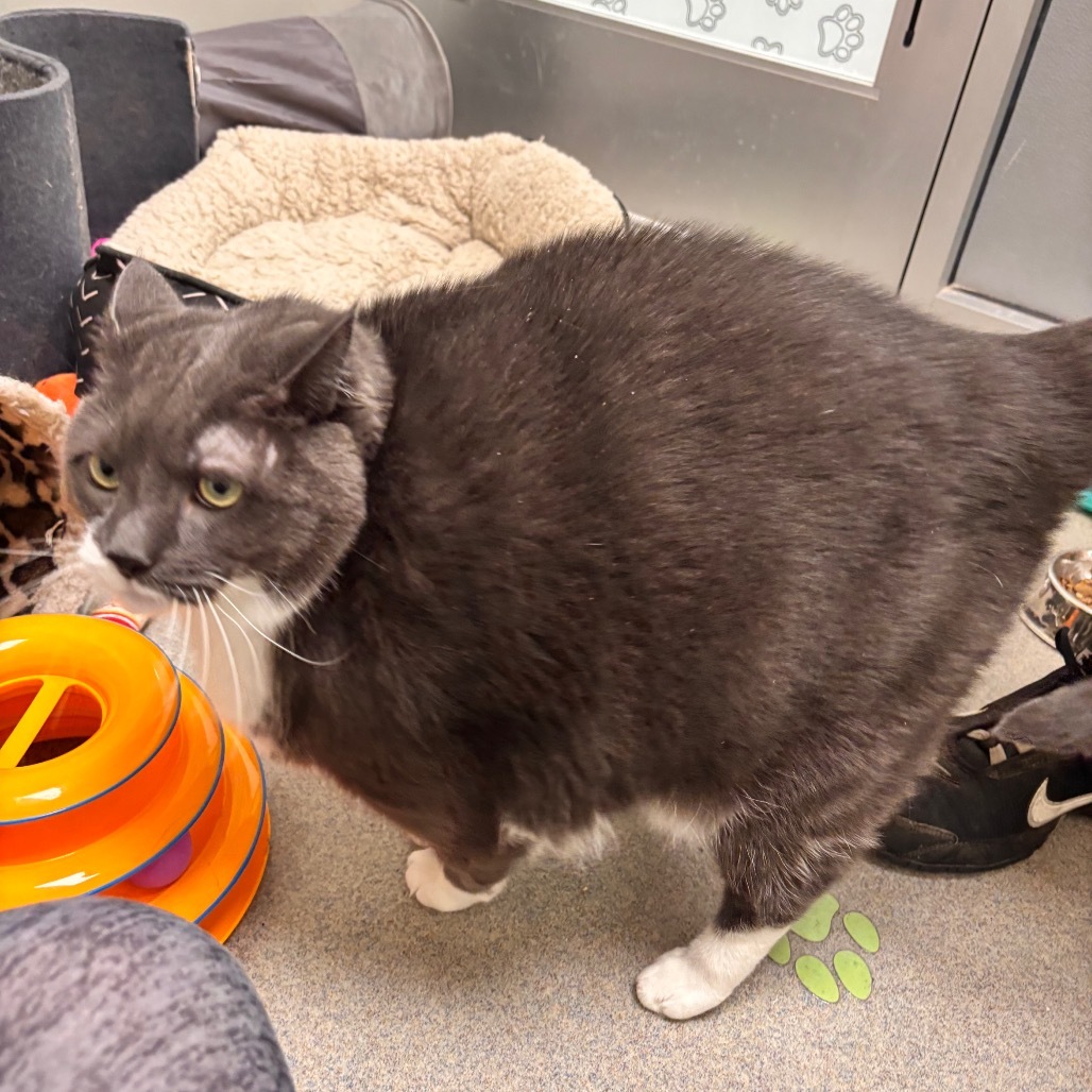 Big James (bonded w/ Gumby)