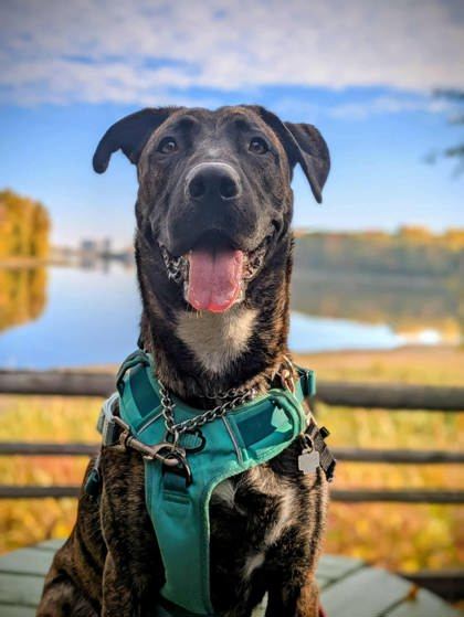 Zoe