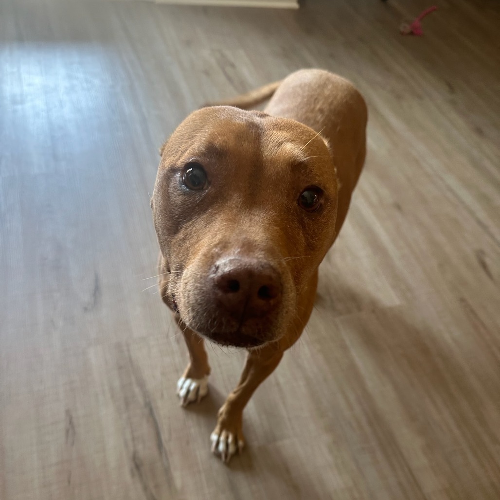 Copper