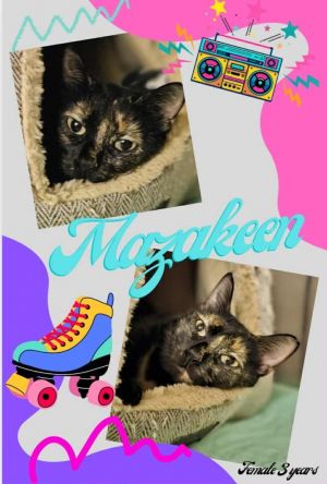 Mazakeen