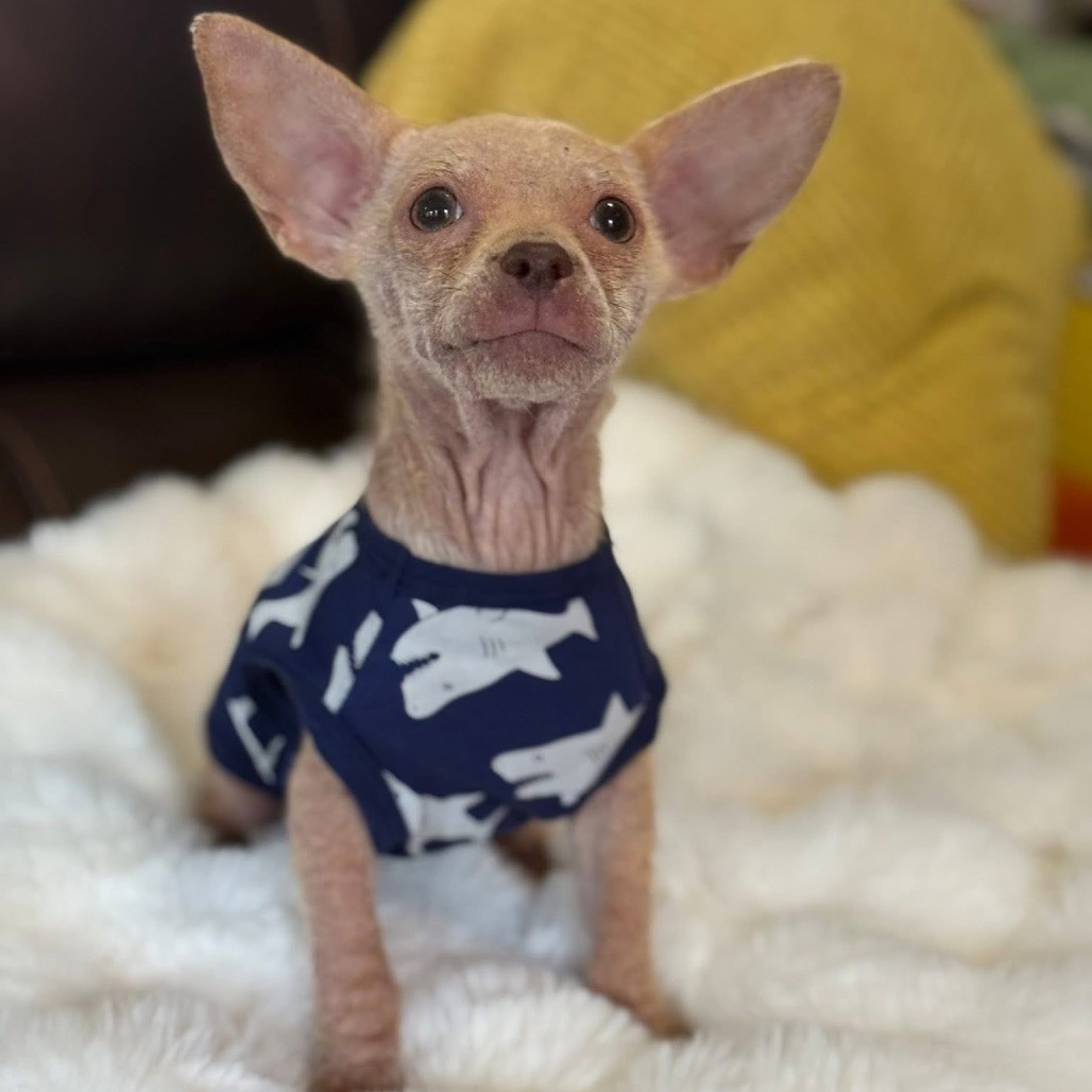 Benjamin