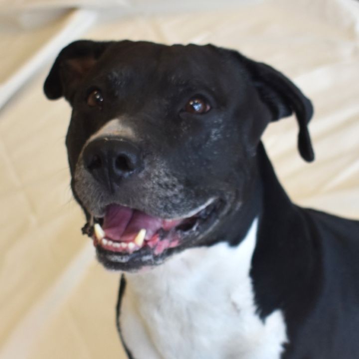 Lil bear (Busta Rhymes) 6