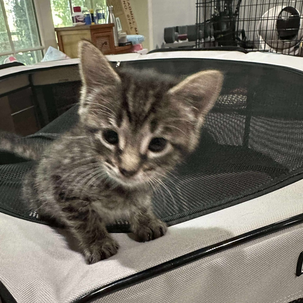 Malcolm (paired with Inara)