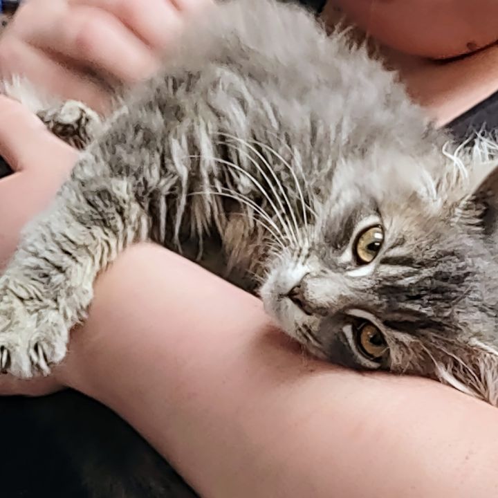 M&P: Parachute Pete 3