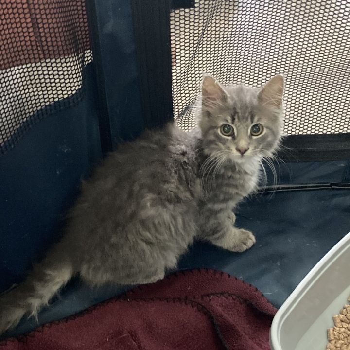 M&P: May Day Marvin 2