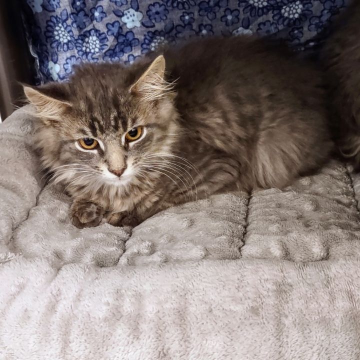 M&P: May Day Marvin 3