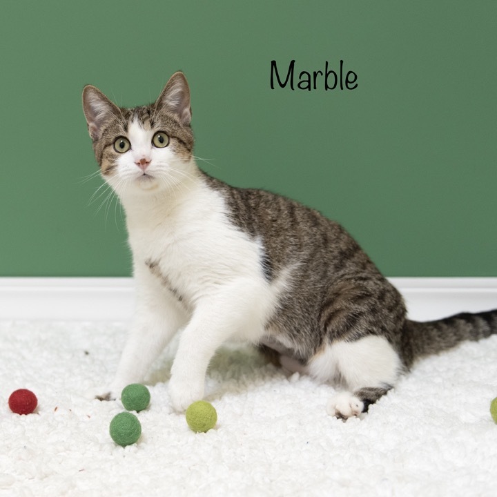 Marble