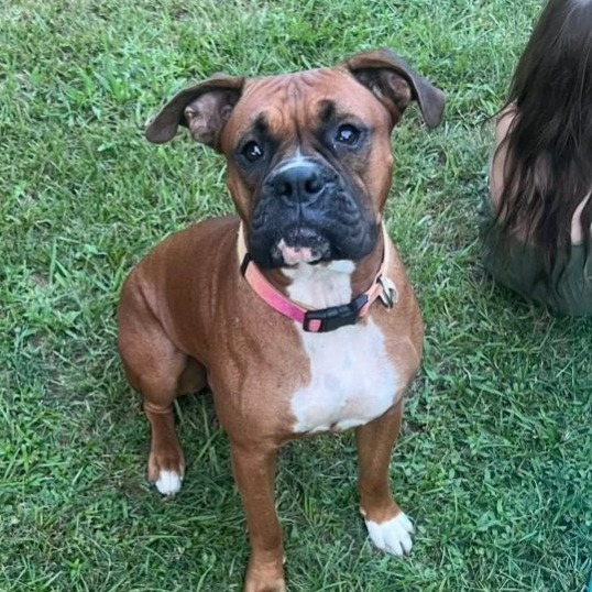 Lady (Bonded to Astro)