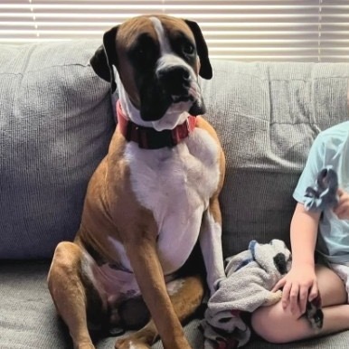 Astro (Bonded to Lady)