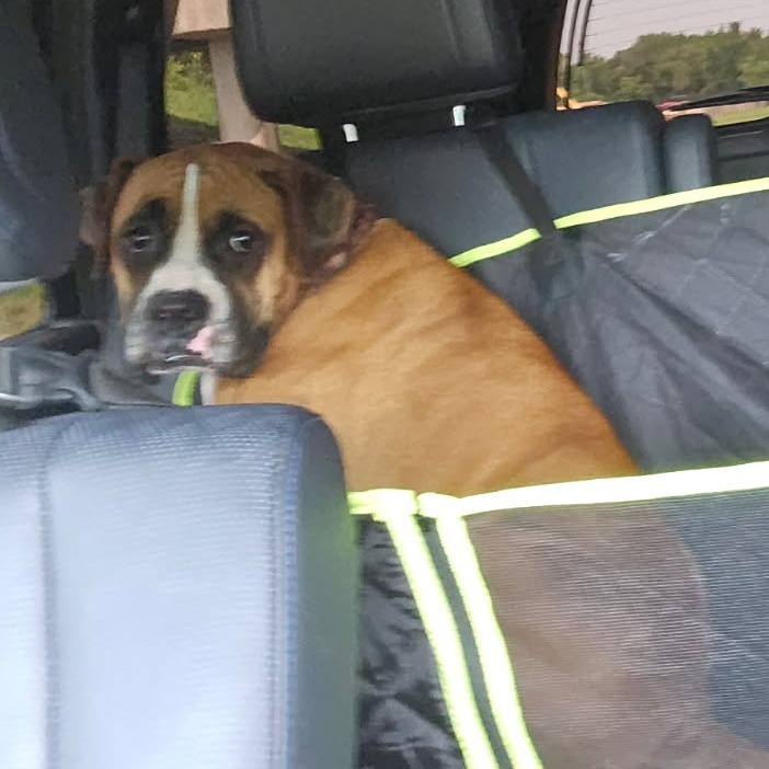 Astro (Bonded to Lady)