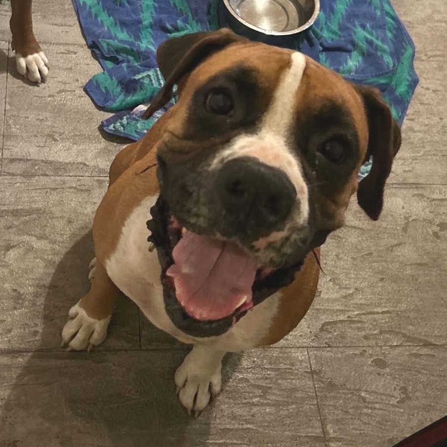 Astro (Bonded to Lady)
