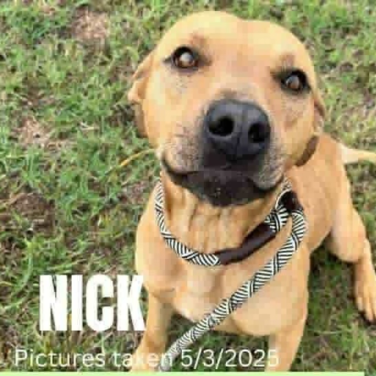 Nick