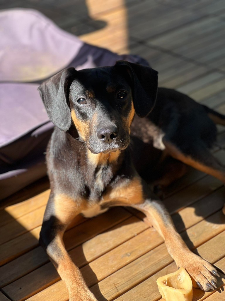 Roxy