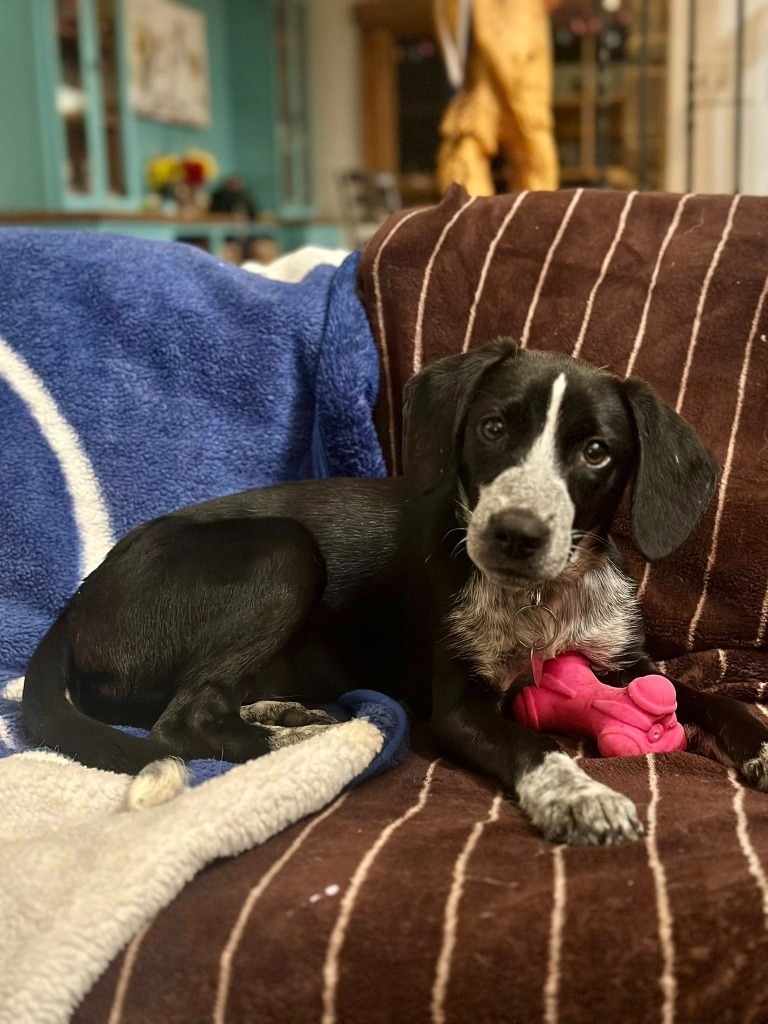 Sabrina