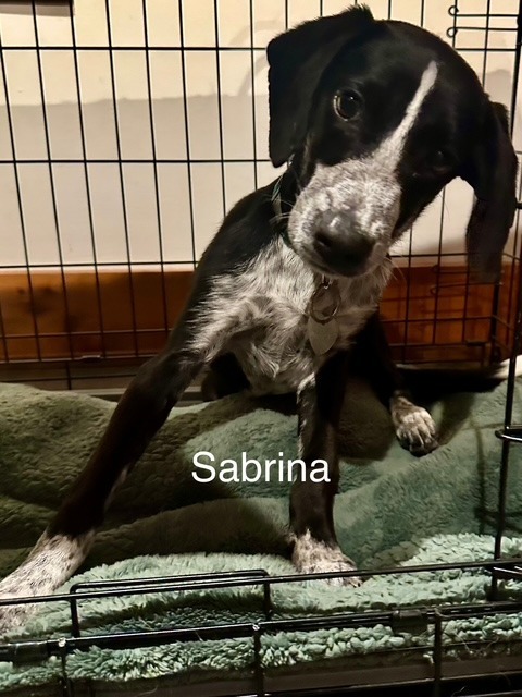 Sabrina