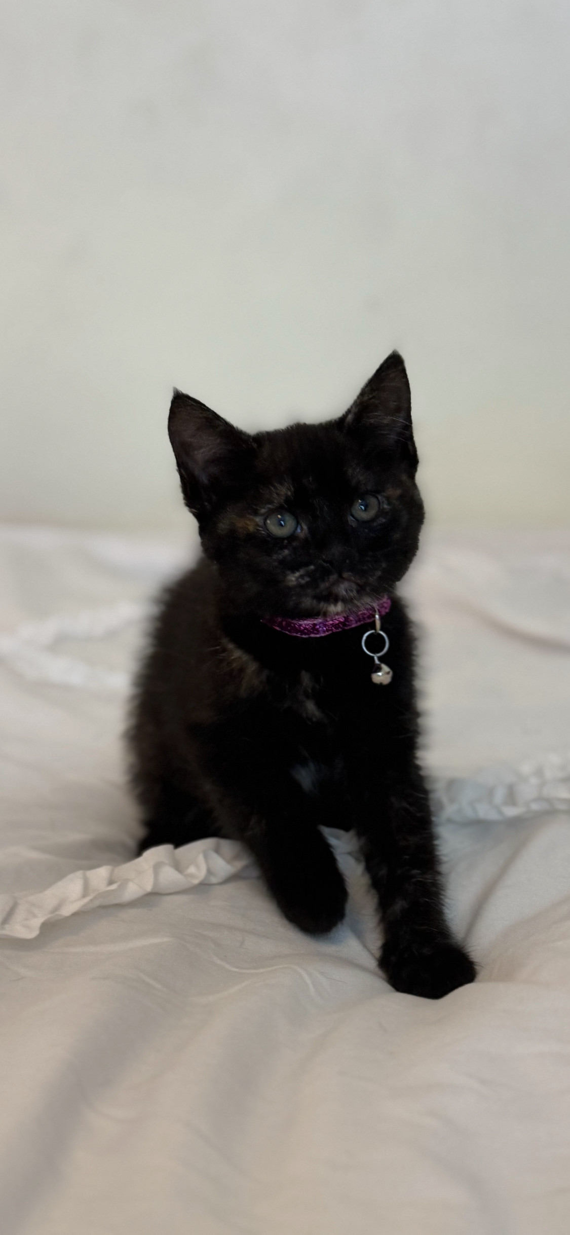 Nyx