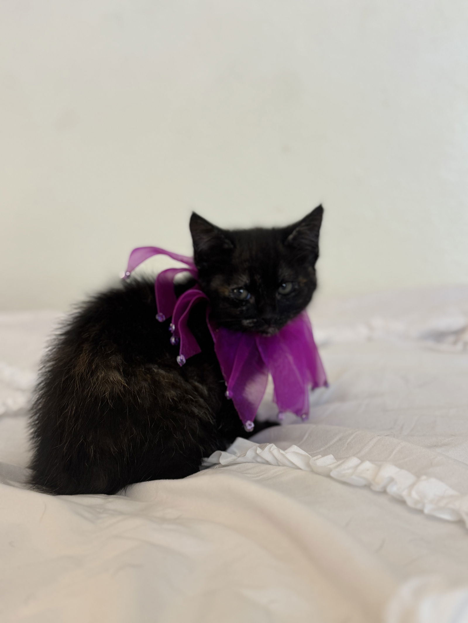 Nyx