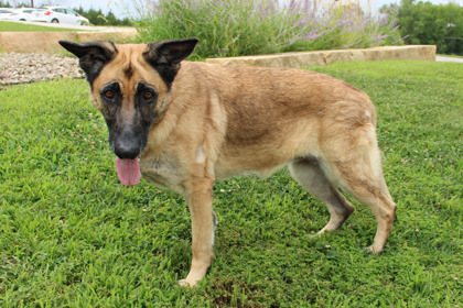 Xena