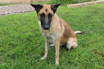 Xena