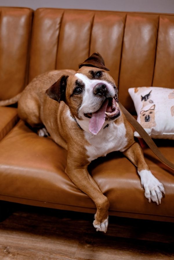 Max