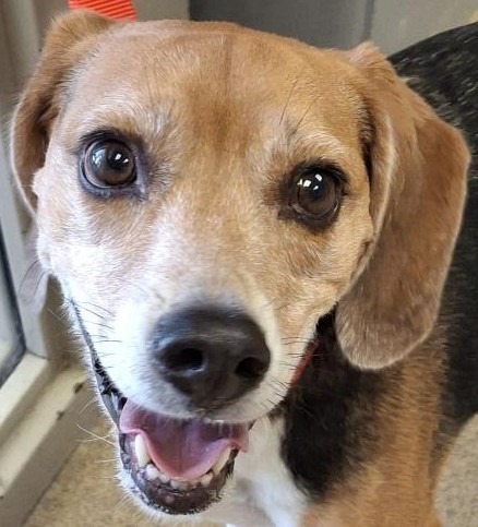 Murphy