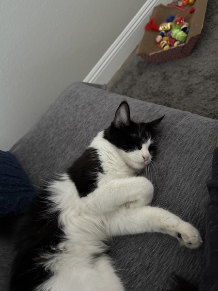 Oliver