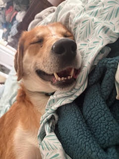 Duke