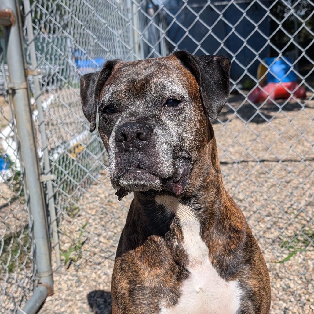 Jax