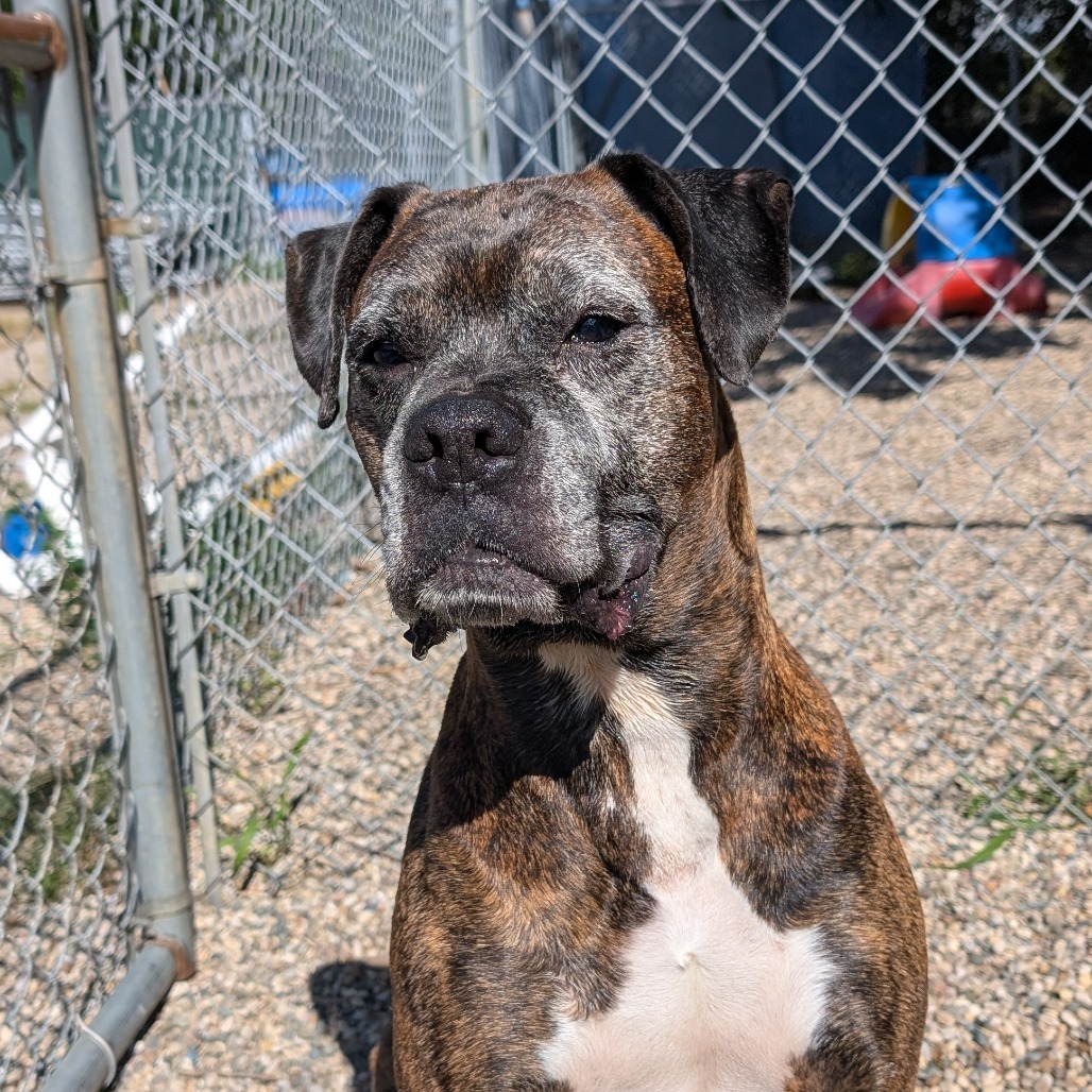 Jax