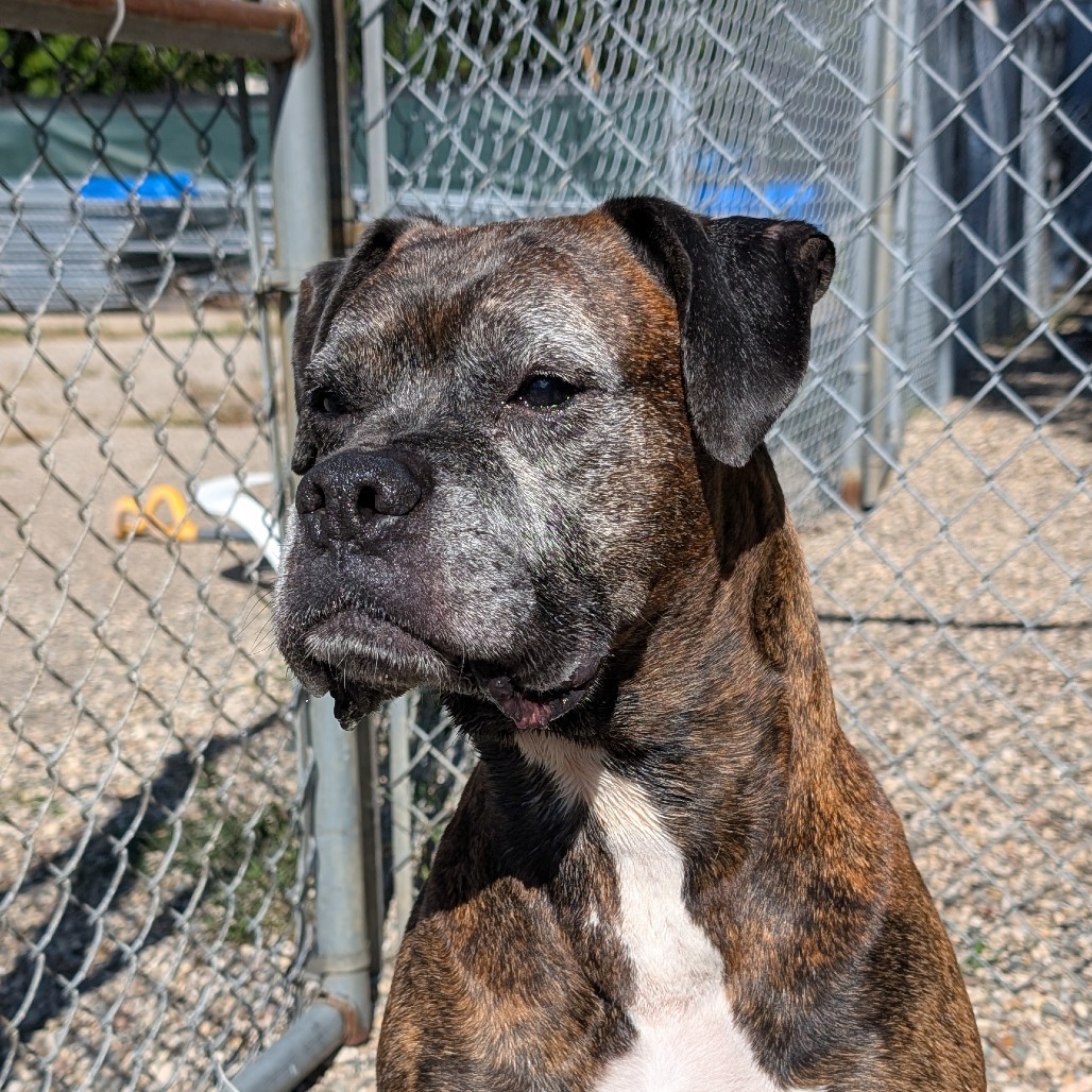 Jax