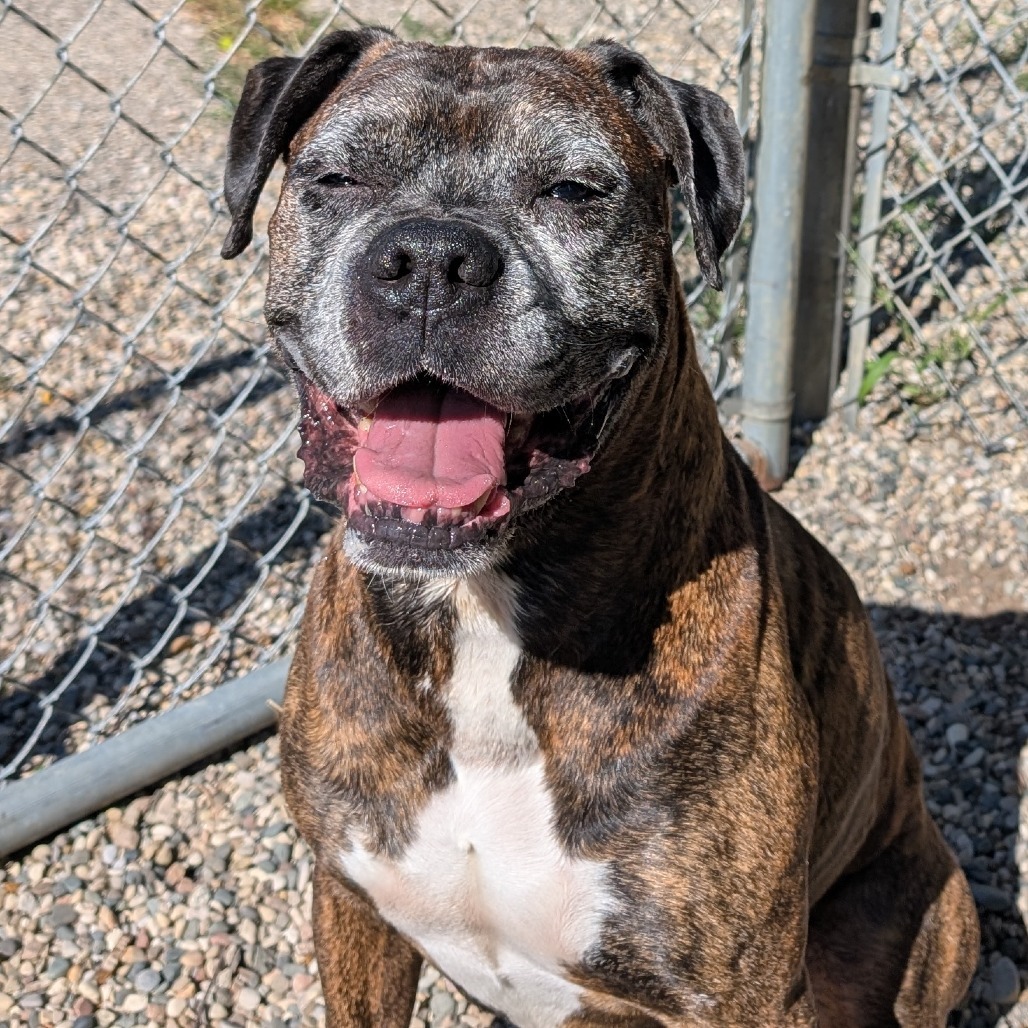 Jax