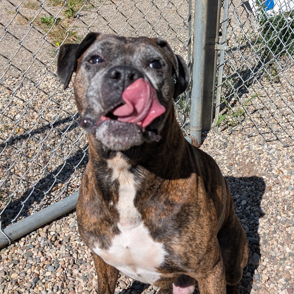 Jax
