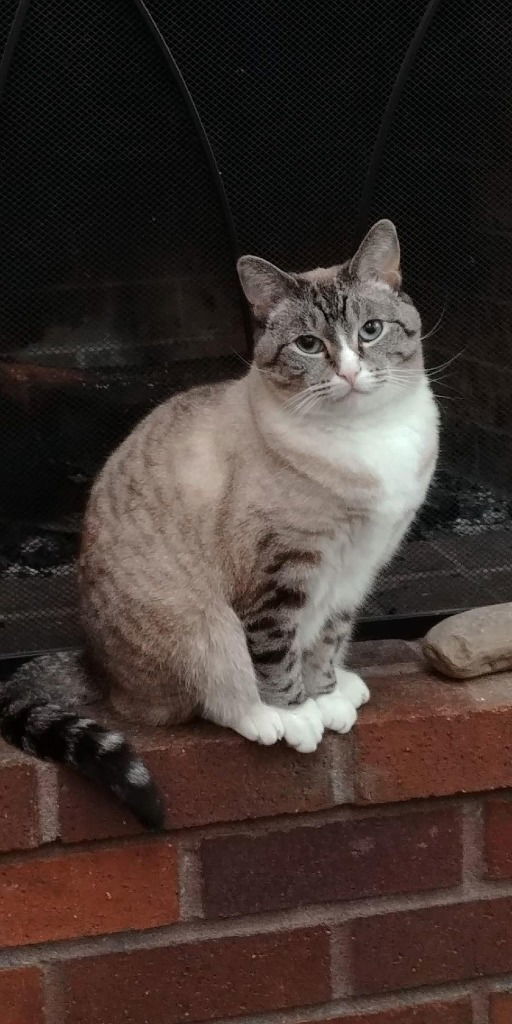 Milli