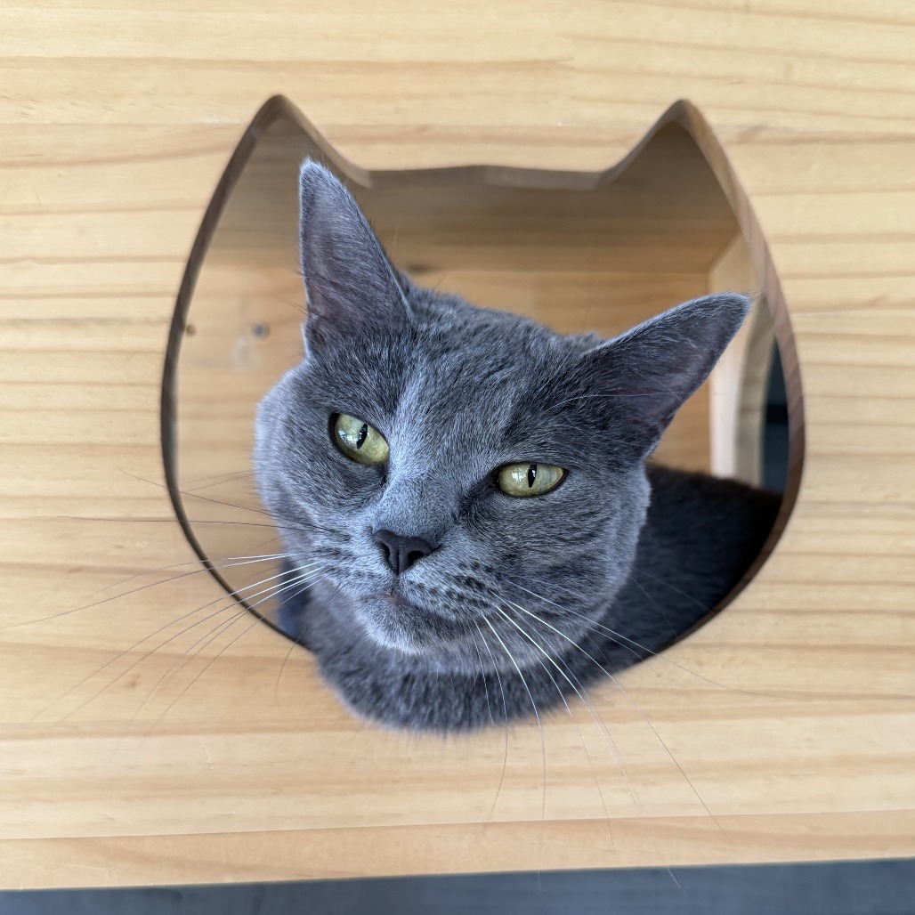 Gracie