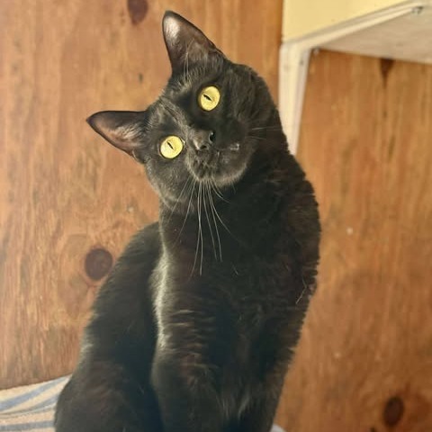 Max