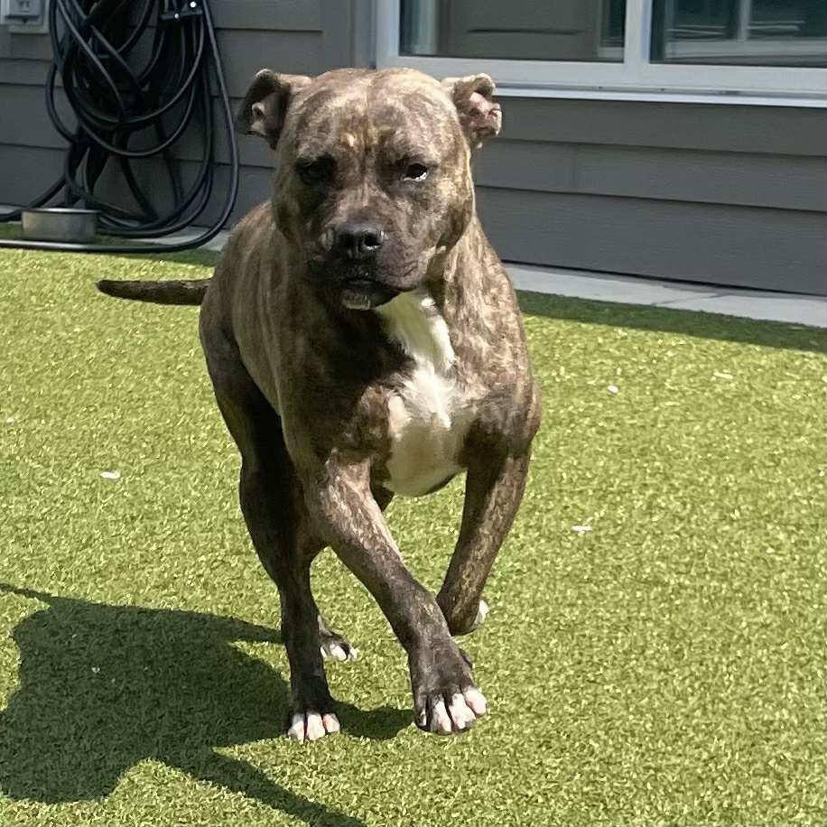 Missy
