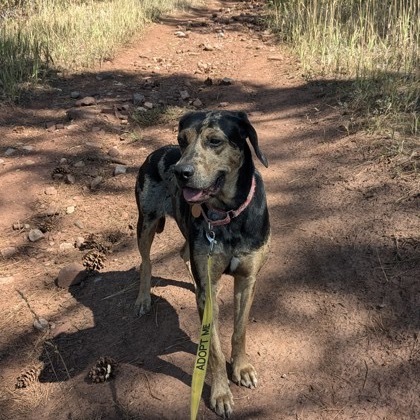 Bonnie