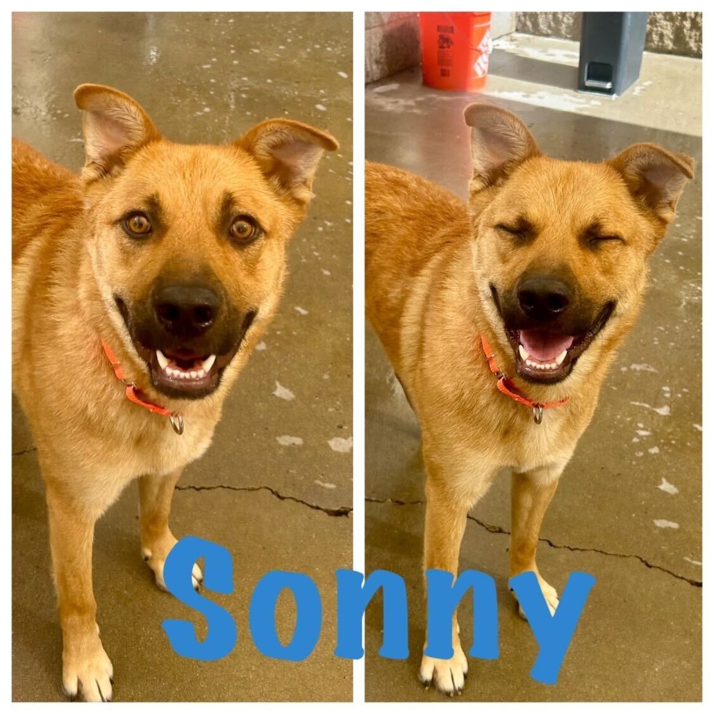 Sonny