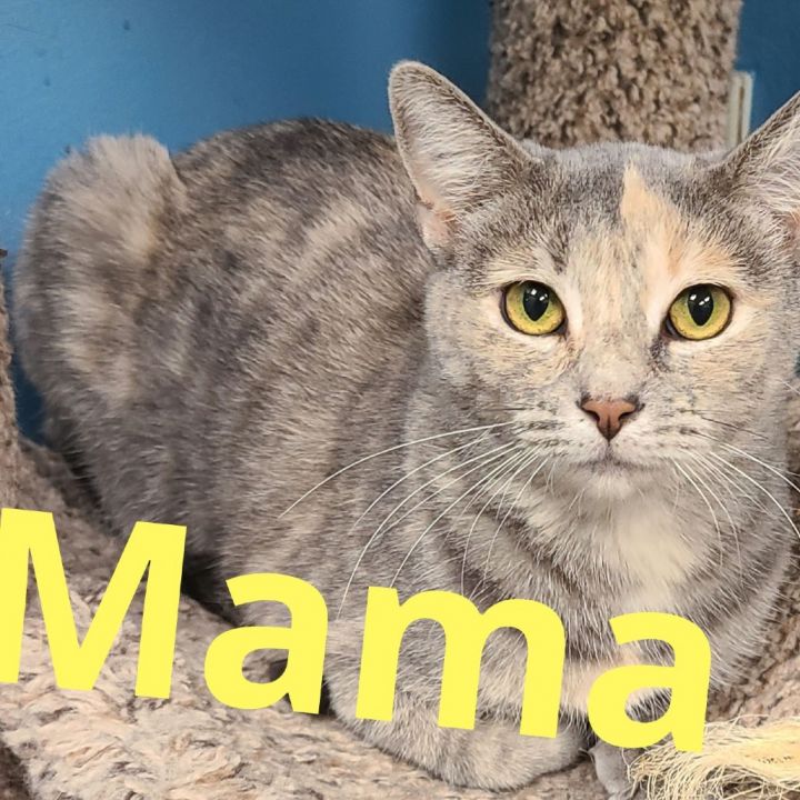 Mama 1