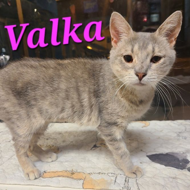 Valka